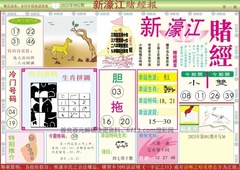 新濠江赌经A
