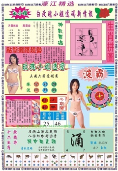 濠江精选B